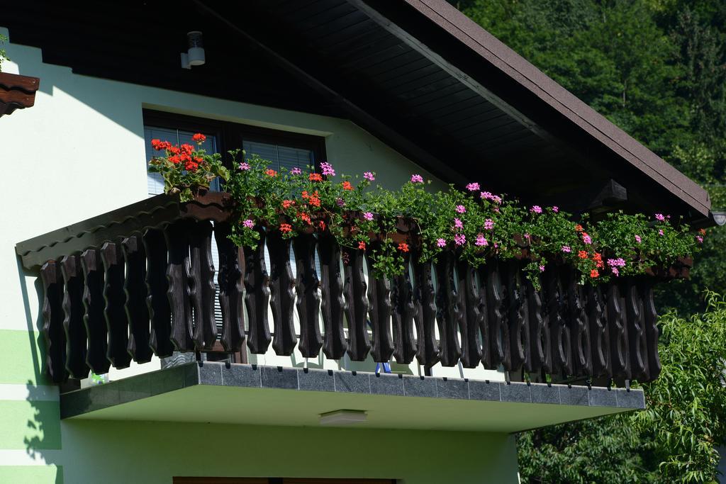Zeleni Apartma Zreče Kültér fotó